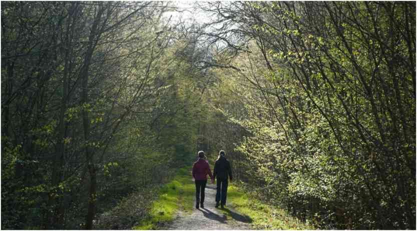 healing through nature walks