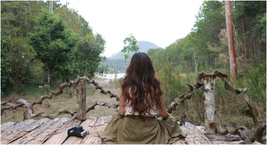 forest bathing for beginners
