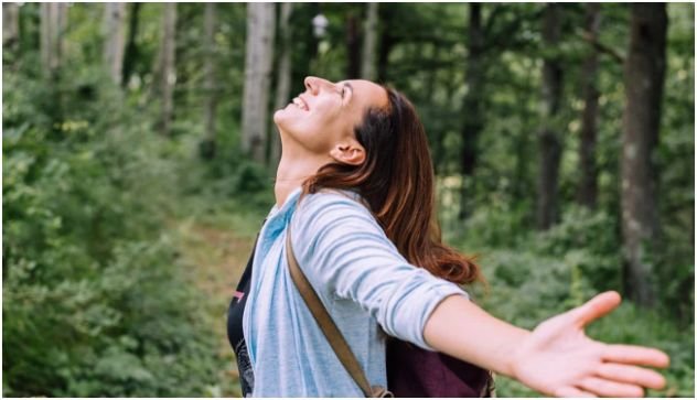 Forest Bathing vs Hiking