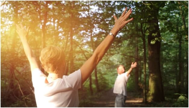 Guided Forest Bathing vs Solo Practice