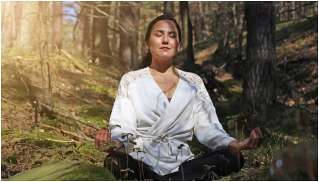 Forest Bathing and Slow Walks Changed My Mood Fast