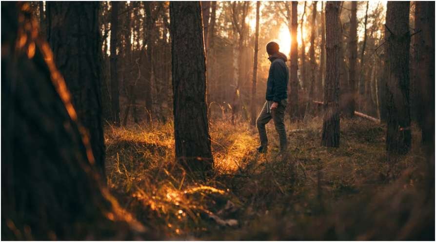 walking meditation techniques
