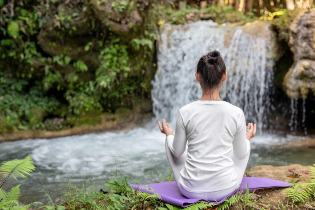 Forest Bathing