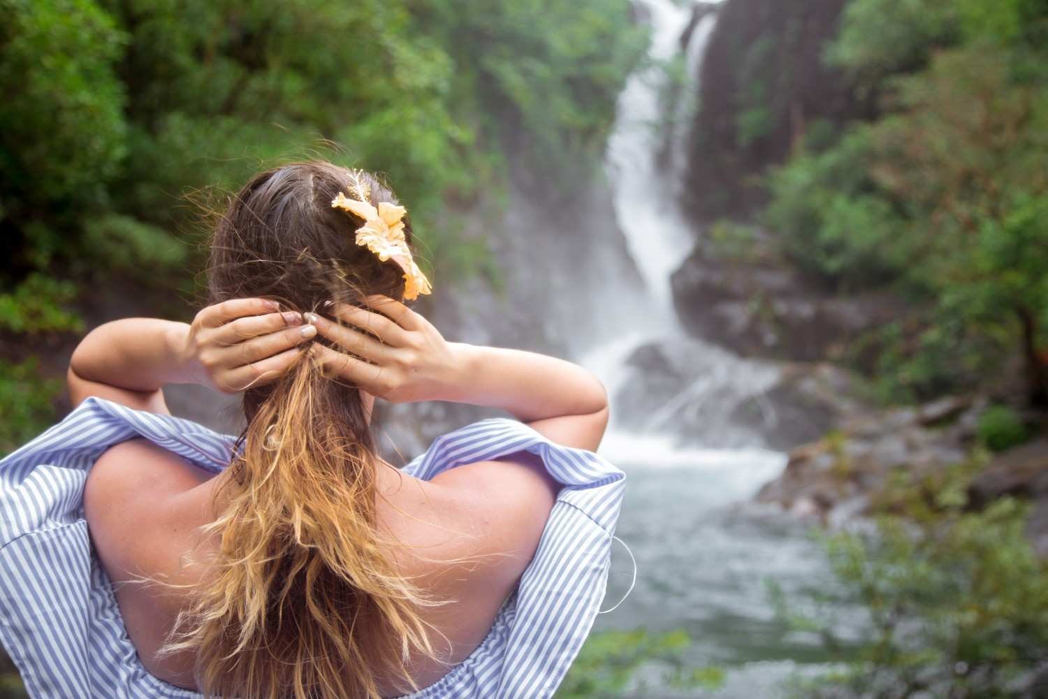 Can You Practice Forest Bathing Without a Forest?